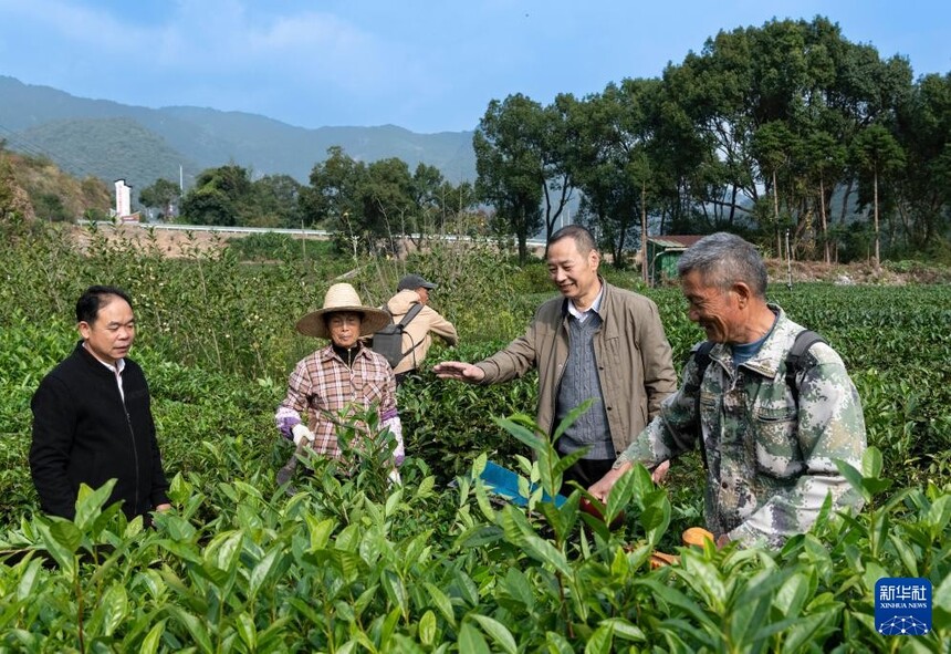 1764810077802179.jpg 2.jpg