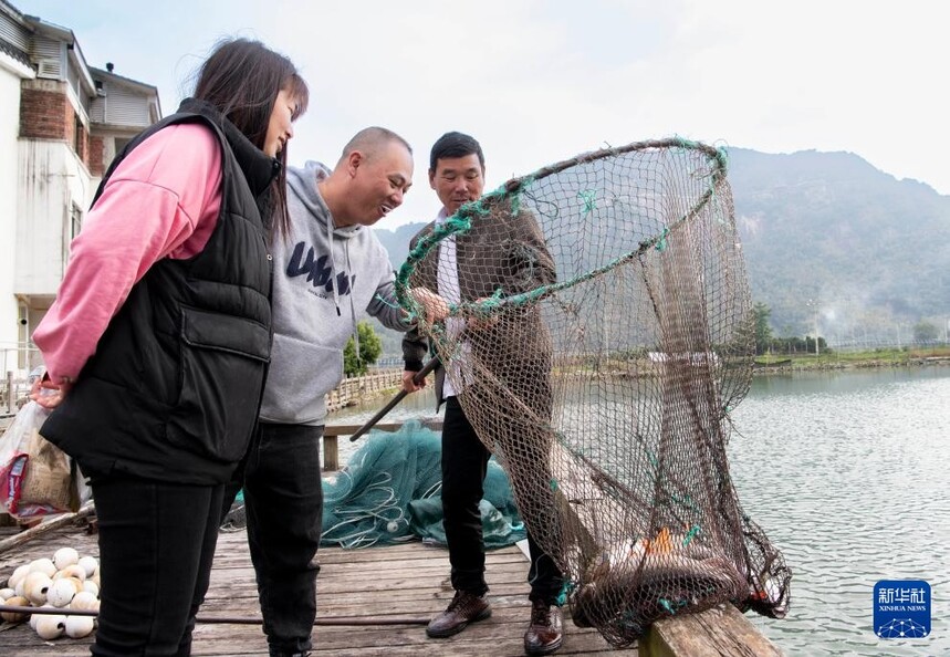 1764810122673459.jpg 3.jpg