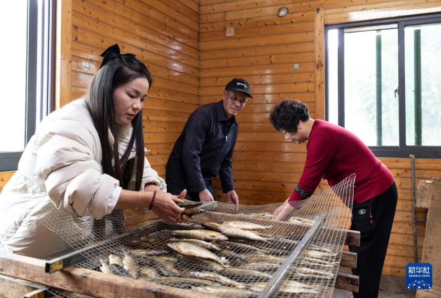 1764810170190921.jpg 4.jpg