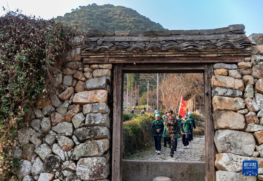 1764810237494679.jpg 11.jpg