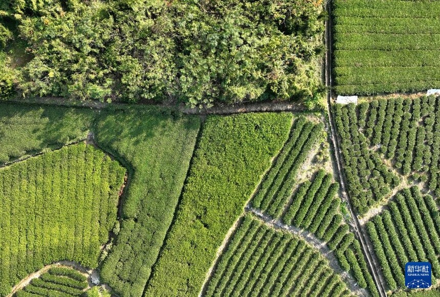 1764810291158145.jpg 111.jpg