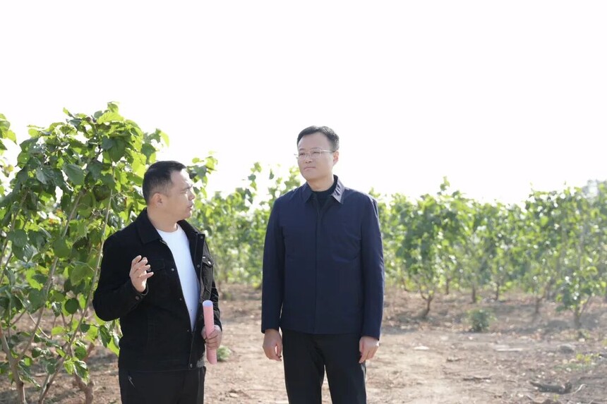 1765243903729844.jpg 1.jpg