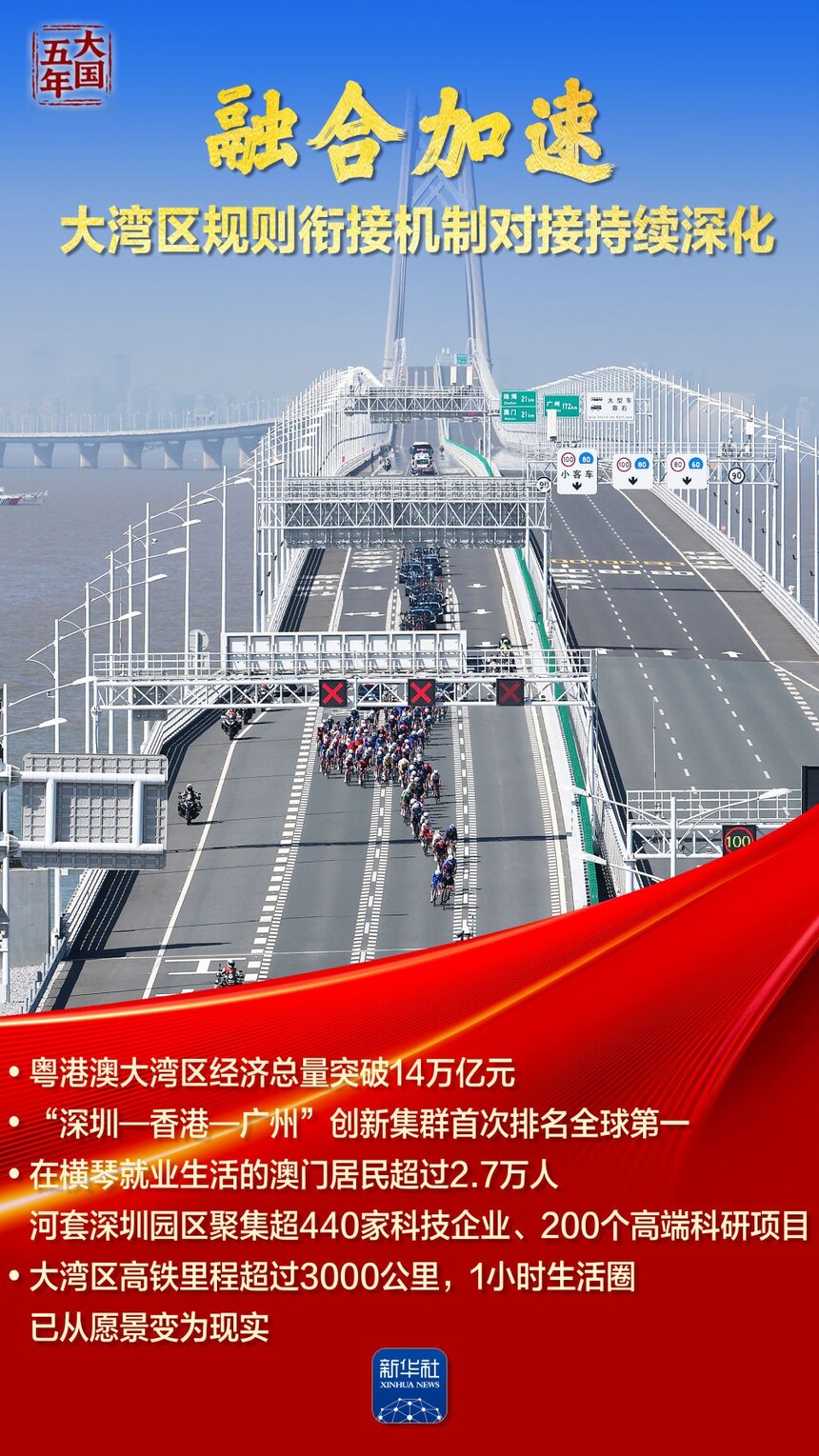 1765415507940537.jpeg 1.jpeg