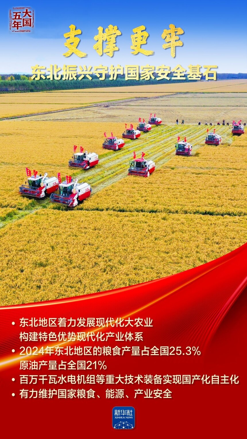 1765415531994593.jpeg 1.jpeg