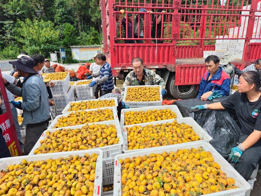 1765415928218599.jpg 1.jpg