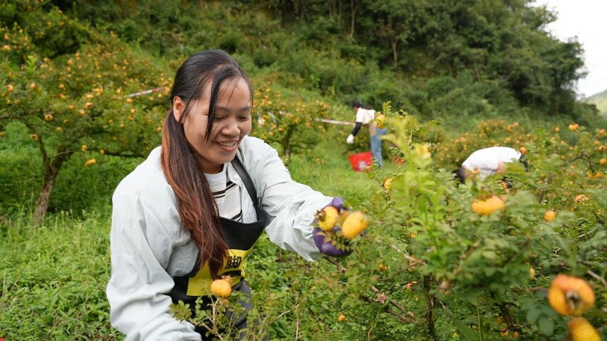 1765415974993126.jpg 1.jpg