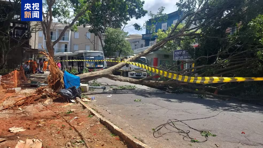 1765416149794841.png 2025121106132130038.png