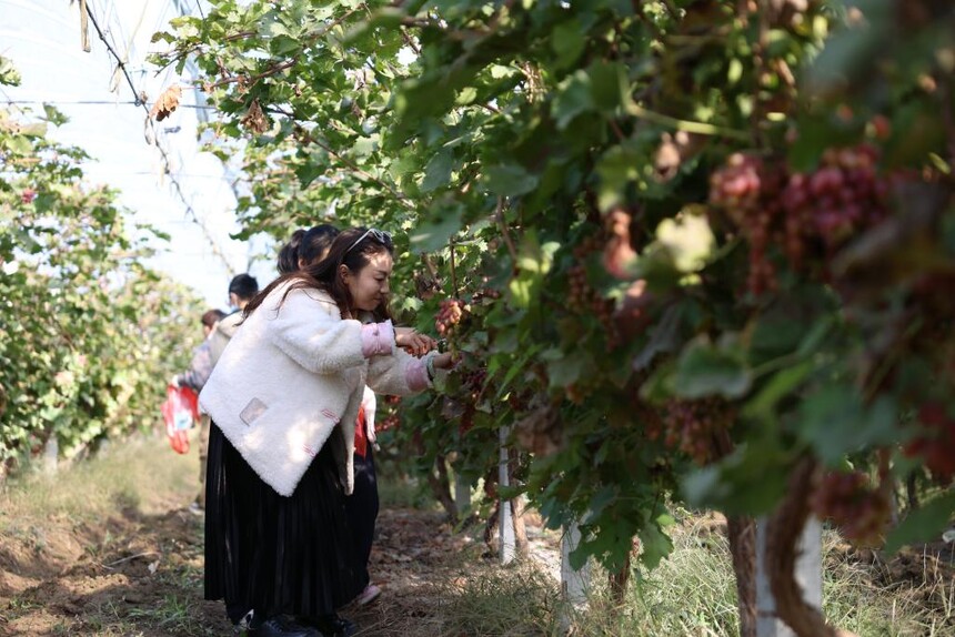 1765520326601138.jpg 2025120809484762936.jpg