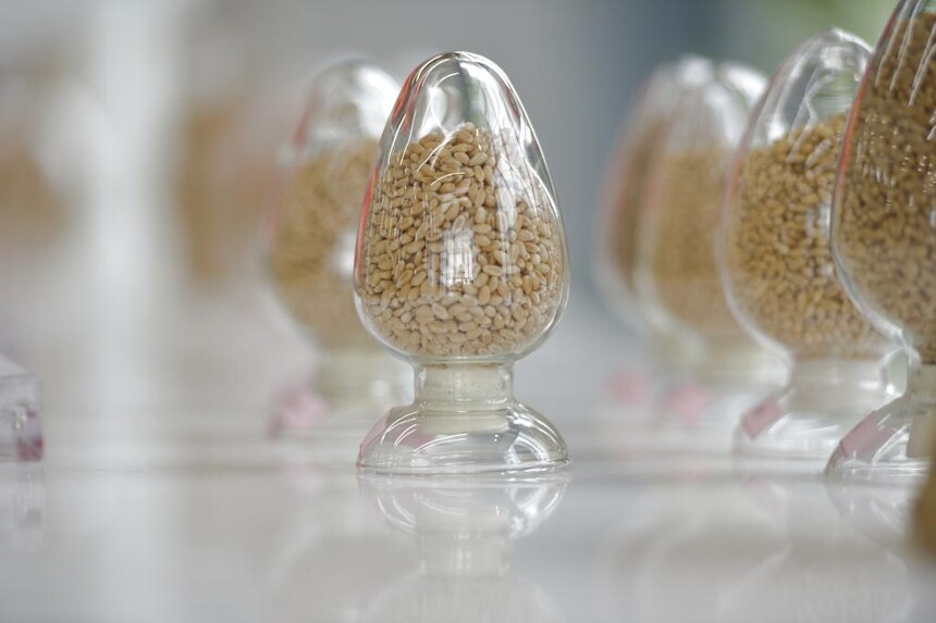 1765587004723606.jpg 1.jpg