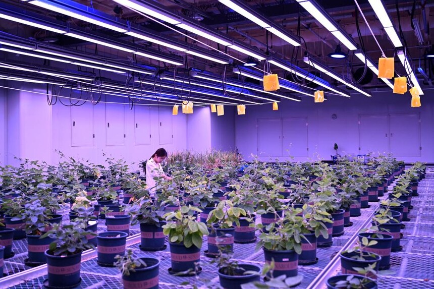 1765587039287655.jpg 1.jpg