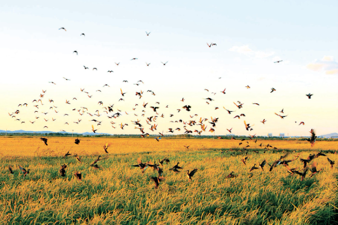 1765588103750679.png 1.png