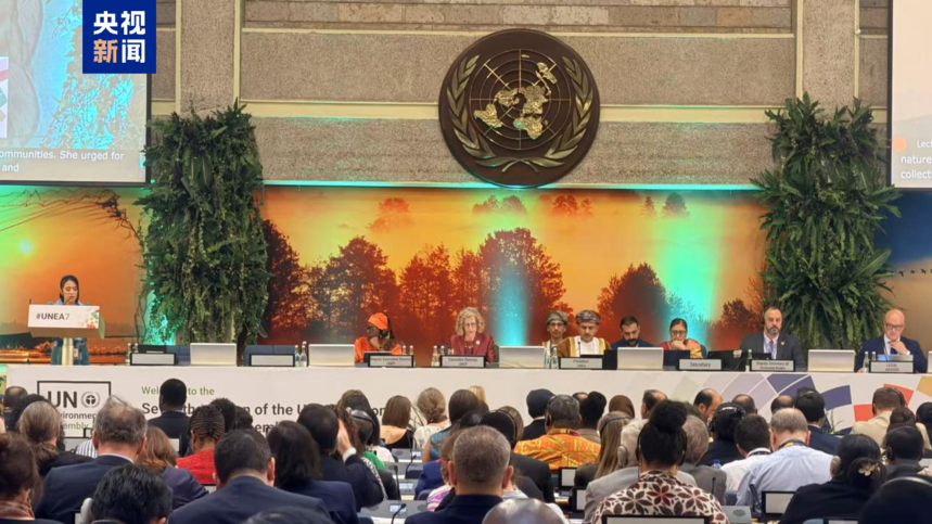 1765593062982603.png 2025121304473475068.png