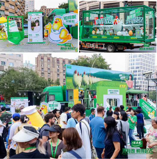 1765677204222890.png 1.png