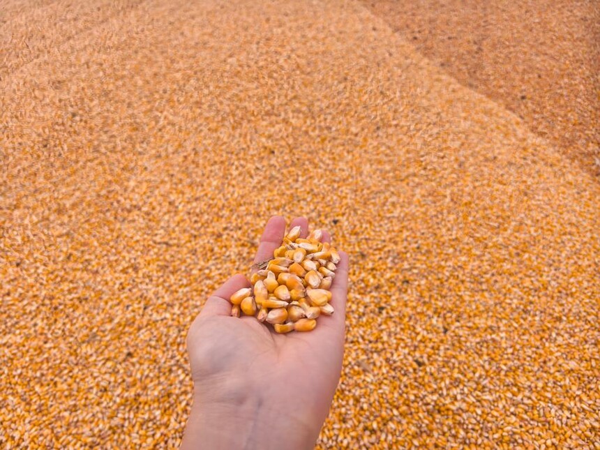 1765681181203566.jpg 1.jpg