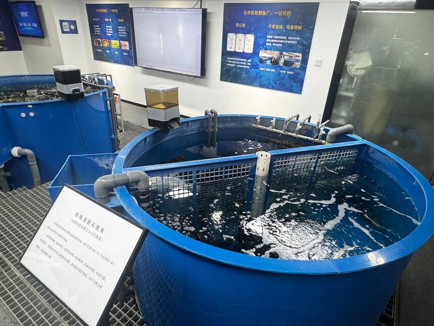 1765681346995454.jpg 1.jpg