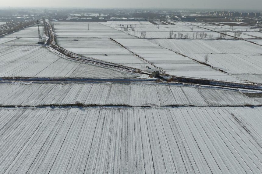 1765761988327366.jpg 3.jpg