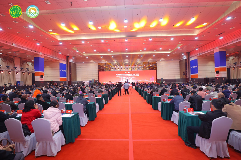 1765762182793373.jpg 3.jpg