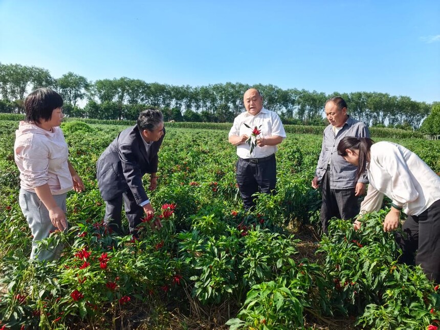 1765851560908680.jpg 2025121323485522730.jpg