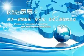 公司愿景