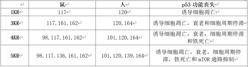 640 (3).png