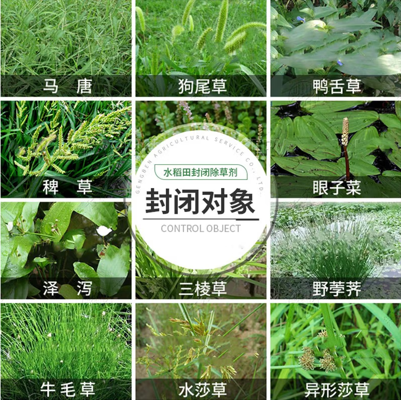 8a17a1dcfd6d9a234cd09a27876a97a.png