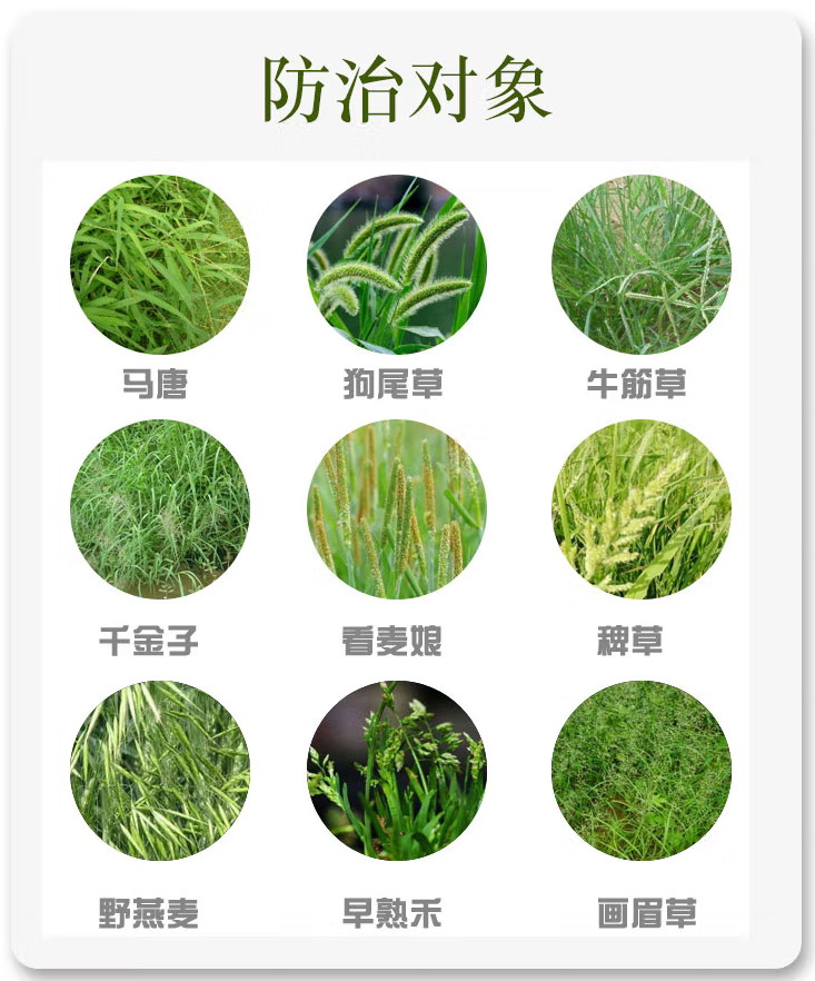 d1ebcce2b239ebe2301fee8d2fc7411.png