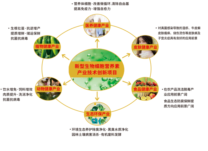 8290884d-61d5-46f7-acc3-54518ca96178.png