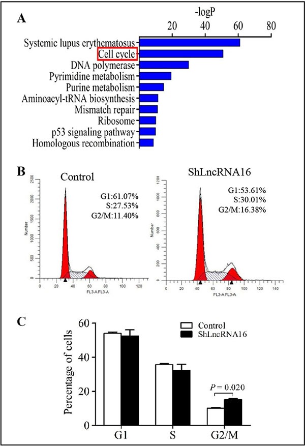 oncotarget-08-7867-g004.jpg