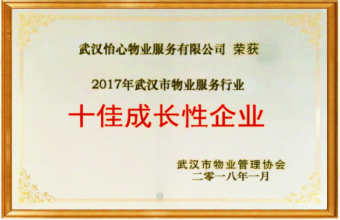十佳成長(zhǎng)性企業(yè)