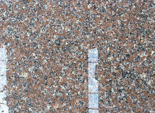 ɏt.jpg