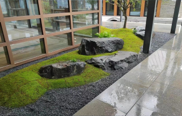 庭院景觀