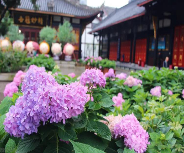 杭州花鏡設計施工 杭州花鏡設計施工
