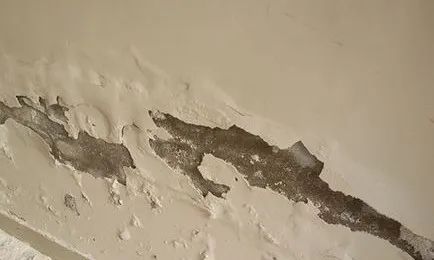 1733723277934125.jpg 1.jpg