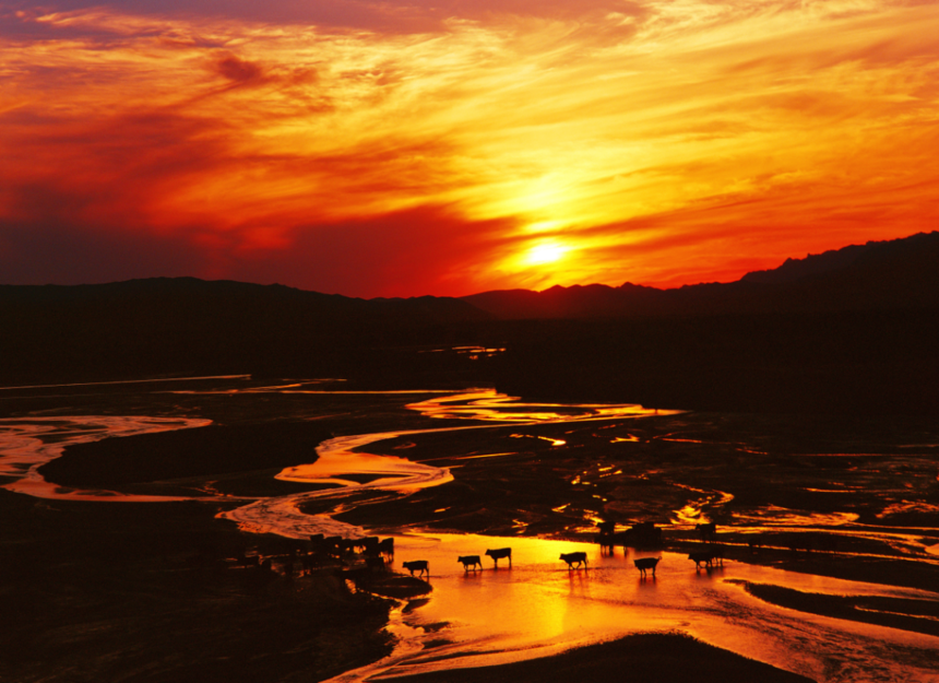 19ca5b5fd83957891e2ac8d287d5f991.png