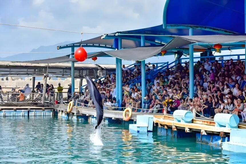 1758787283831532.jpg token=f596918ef6547fd15c64b313a254172a.jpg