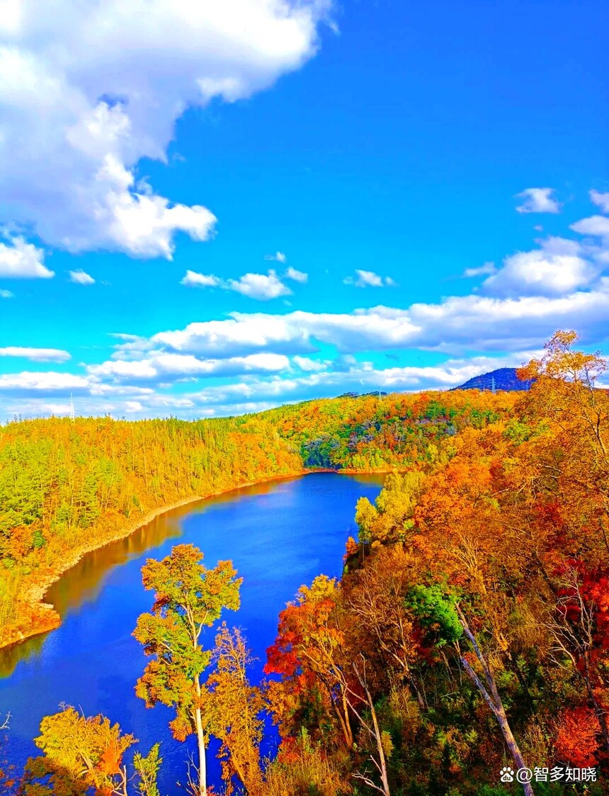 1760068485798114.jpg token=81ffefa3699b1bf0d1f28b9fe2105379.jpg