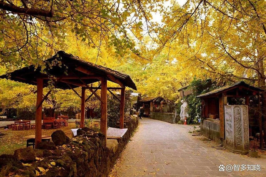 1760068560648735.jpg token=941f746415fe1dcbd536519cb9cd2ff1.jpg