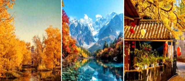 1760069447117082.jpg token=a152a12183dbae8375fbf4539daa8c23.jpg