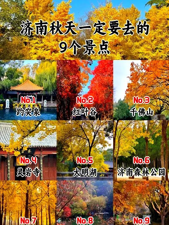 1760069539620419.jpg token=186a4cfc11b8c27c6e30731ae776bef5.jpg