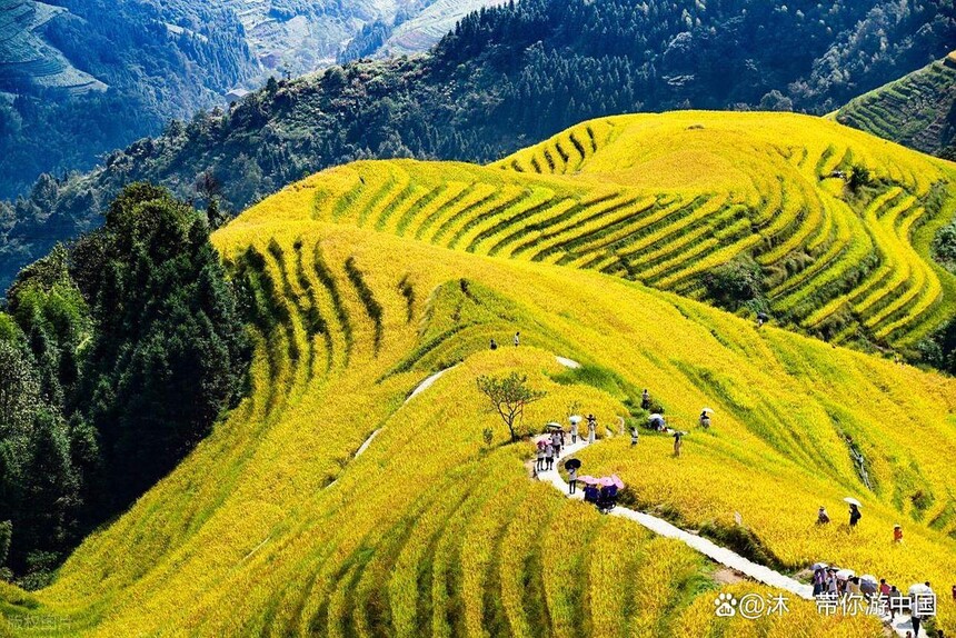 1760070338512957.jpg token=7499dc3ab8f55a1fb841b0268ae2067f.jpg