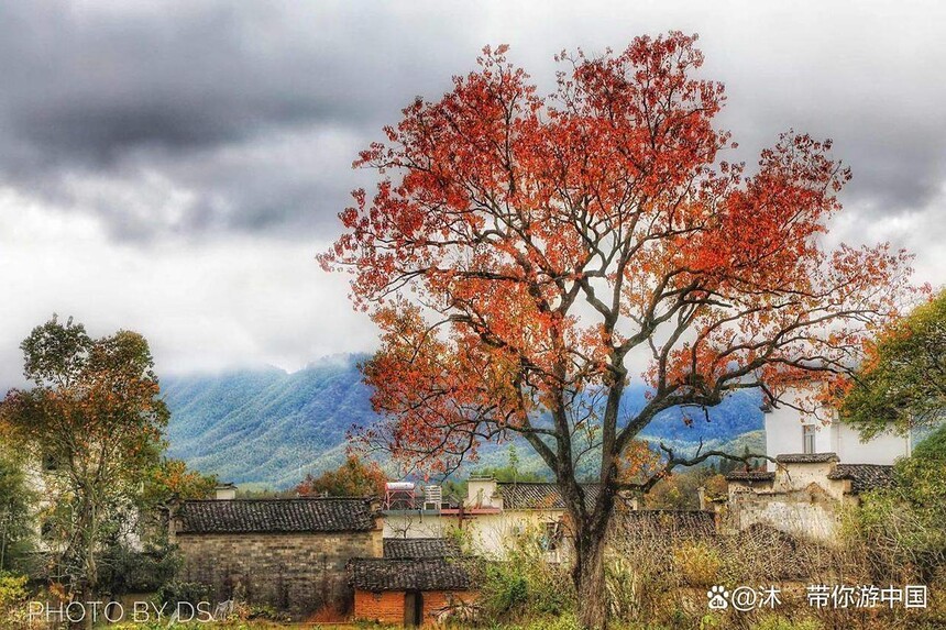 1760070390130783.jpg token=fa098468738a5d36056c8e25c4b62022.jpg