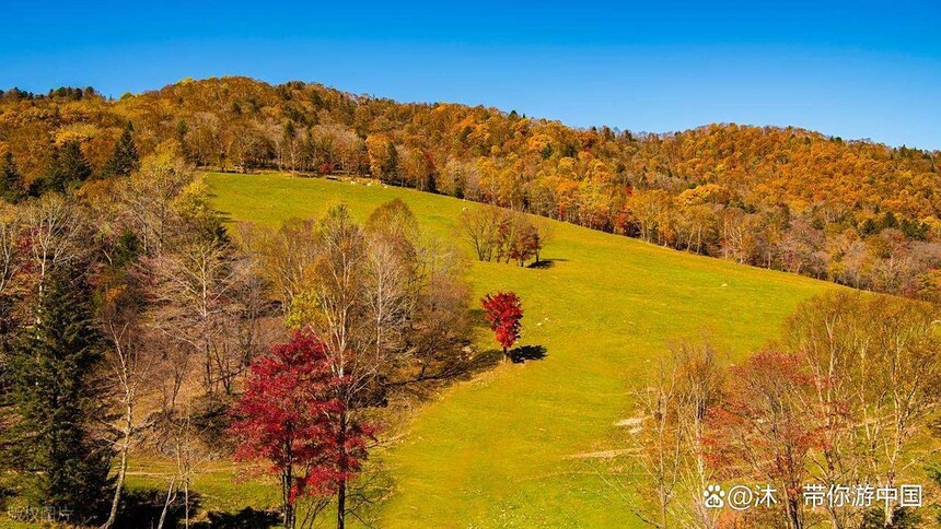 1760070482563992.jpg token=b155a6fbb52708279bbc710f3a04f9e7.jpg