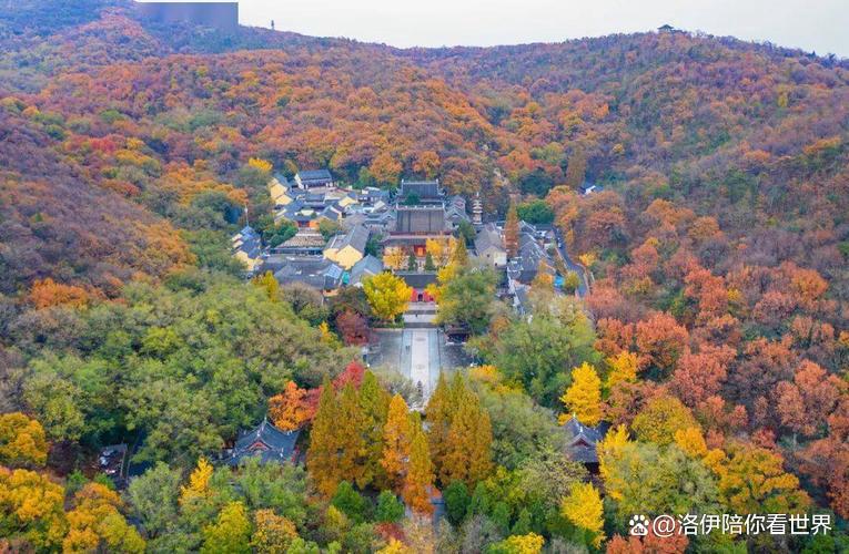 1760597146651942.jpg token=6a66cbcc4164d7a40817f73bfdb12ae6.jpg