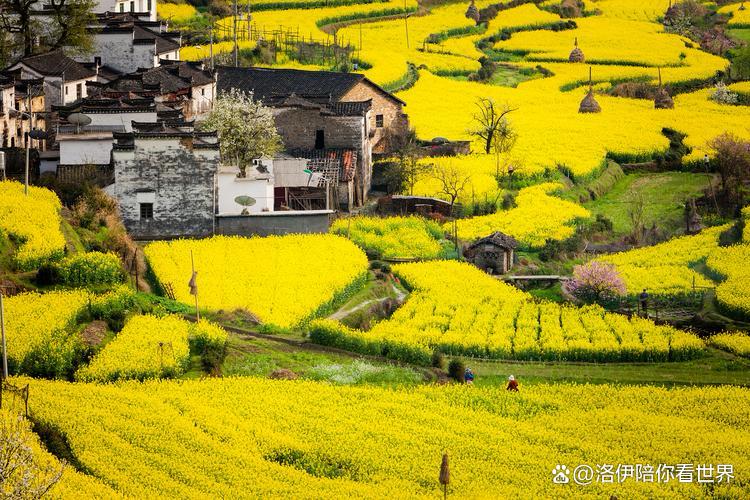 1760597304338286.jpg token=a07d0a9a13c1547884966fa349e17ab9.jpg