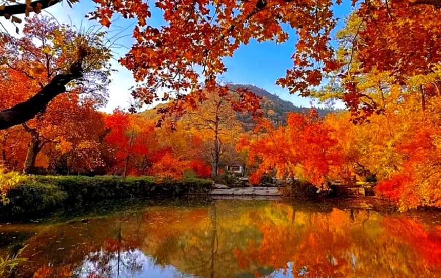 1761287657260034.jpg token=1484191b5ca2db275f907d192076acb7.jpg