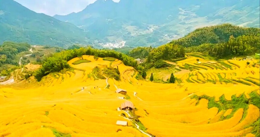 1761287678265736.jpg token=6e87b943843ec9a60a9fa4ef0bbb4c69.jpg