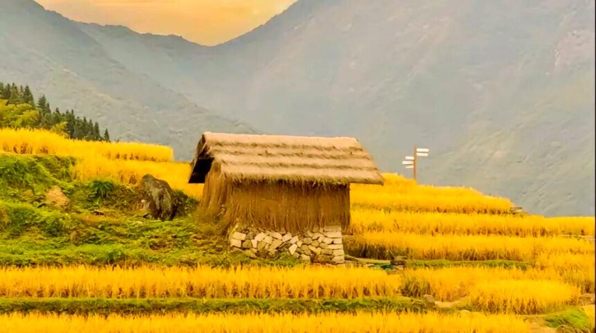 1761287697990799.jpg token=ec45c00c4140ecc4f2a6f072071154be.jpg