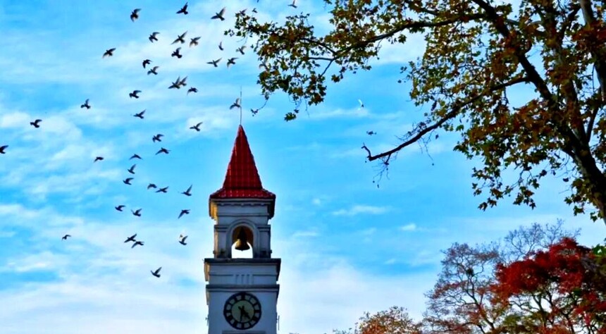 1761287720750456.jpg token=7fc9d17dbac9914720db09e4bed32dcb.jpg