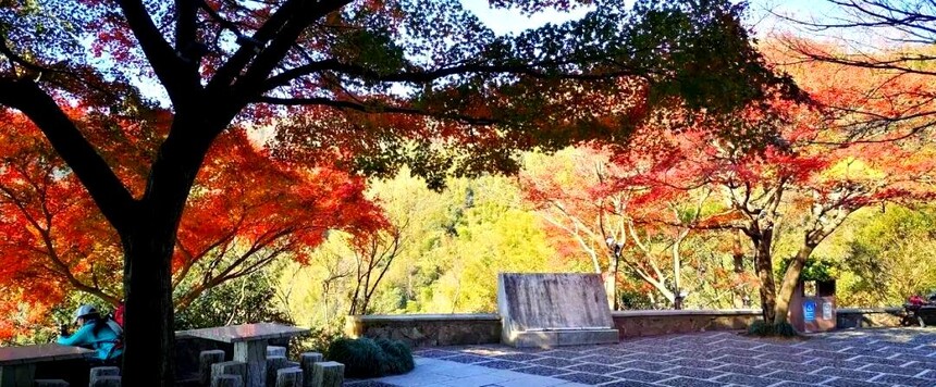 1761287757615197.jpg token=fa91bd7c5ecd1336c502f49b3281b8e0.jpg