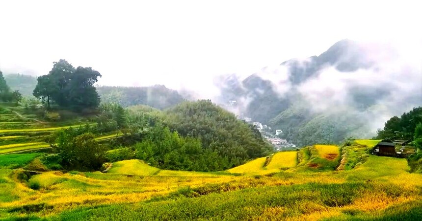 1761287777227748.jpg token=a609a0ed2835cd5a6b685c0fb15c0bfc.jpg